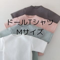 Item thumbnail for item 73193e79-5a0d-4749-8d1f-1b231556f073