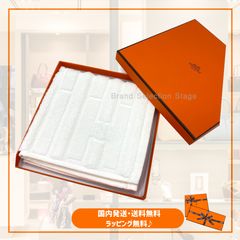 S2536 未使用 エルメス ポケットチーフ グランプチカレ シルク スカーフ S2536 未使用 エルメス ポケットチーフ グランプチカレ シルク