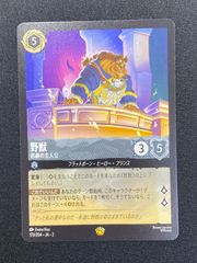 七重浜店54-2-080304] 中古品 野獣 悲劇の主人公 レジェンダリー173