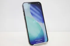 iPhone 12 Pro Max MGCU3J/A Apple docomo iOS SIMロック解除済み SIMフリー 残債なし 128GB グラファイト