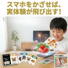 新品グリムス GRIMMS 積み木4セットRHCロンハーマン購入［正規品