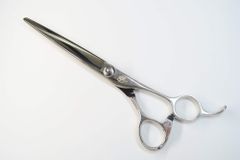 Item thumbnail for item 106cbb9f-7538-47f2-88a7-7b4c9f901410