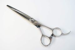 Item thumbnail for item 18cafd9f-f261-4859-ba7b-3e5a4c8c7911