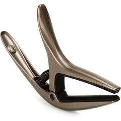 Item thumbnail for item 4927c534-101f-4cb8-8c9e-e14c8b6c47a0