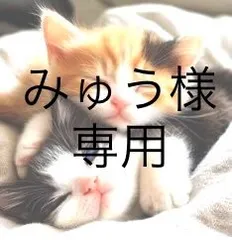 みゅう様専用