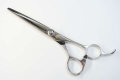 Item thumbnail for item 484bd181-0c16-44fc-9c69-3b94bd4294b7