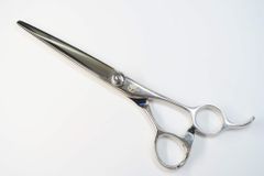 Item thumbnail for item 55b5149c-f337-450b-9c56-24015128d6c1