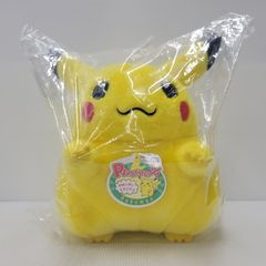 【未使用品】 ポケットモンスター30周年記念 おかえり！ピカチュウ 1/1 【052-260306-TT-03-izu】
