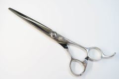 Item thumbnail for item c4341d3f-192e-4928-b1be-0616cc979038