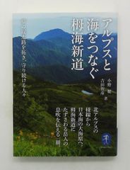 油絵技法質感を表す (CULTURE SERIES) 北条 章,鍋島 正一 グラフィック