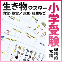 2026年最新】ジャック幼児教室の人気アイテム - メルカリ