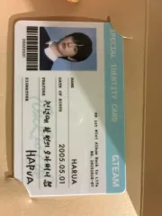 &TEAM HARUA ハルア Back to Life POPUP 購入特典