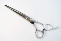 Item thumbnail for item 70bbdd94-c4f6-481f-ba14-e03475c97de2