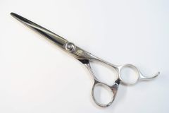 Item thumbnail for item de4db4f8-7d4e-4e67-96a5-e37b77a10211