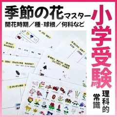 2026年最新】ジャック 幼児教室の人気アイテム - メルカリ
