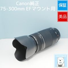 Canon純正 90-300mm EFマウント用 標準+望遠レンズ 美品 a5975 - メルカリ