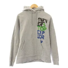 ザノースフェイス THE NORTH FACE NEVER STOP EXPLORING プルオーバーパーカー スウェット 長袖 ロゴ プリント 裏起毛 M グレー /BB