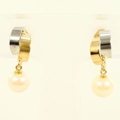 Item thumbnail for item ede132d5-1fa5-41c2-8723-556eab19bb50