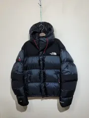 (105) ザノースフェイス バルトロ ダウンジャケット サミットシリーズ 700 グースダウン ジャケット