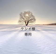 ケンイ様専用　コルセット2枚セット