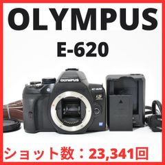 L23[7045B] ニコン Nikon D3100 ボディ 【ショット数 7，934回