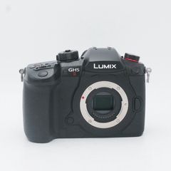 使用1回】LUMIX GH5Ⅱ＋レンズ＋SD128GB×2 - メルカリ