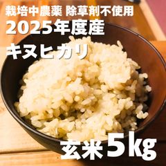 ◇栽培期間中無農薬◇令和7年収穫 ◇滋賀県産キヌヒカリ 玄米5キロお