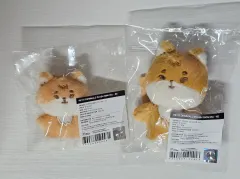 DAY6（デイシックス） プチマルチ プチプチマル ヨンケイ(Young K)