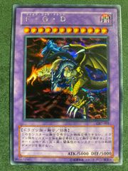 F.G.D. ファイブゴッドドラゴン 20th - メルカリ