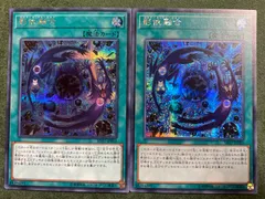 影依融合　シャドールフュージョン　シークレットレア2枚セット