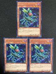 YCSJ TOKYO 2025 上位賞 五芒星スリーブ 70枚 - メルカリ