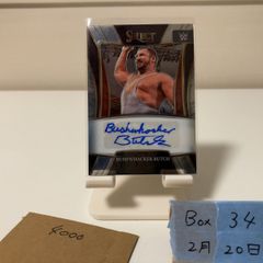 Item thumbnail for item 49f3e762-7b53-41ed-8157-7d53f89ab9e5