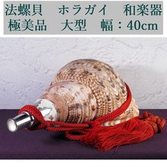 法螺貝 ホラガイ 大型 幅：40cm 和楽器 極美品 山伏道具/26c004 - メルカリ