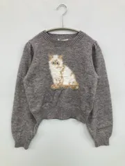 ems excite エムズエキサイト ニット/セーター F グレー ニット ナイロン 前面プリント ショート丈 長袖 クルーネック(丸首)