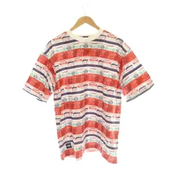 マナスタッシュ Manastash MTN STRIPE TEE マウンテン Tシャツ ボーダー 白 ホワイト マルチカラー /AG ■OS ■AD