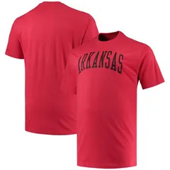 チャンピオン レディース トップス Tシャツ トール ロゴ Mens Champion Cardinal Arkansas Razorbacks Big Tall Arch Team Logo TShirt Ark Red レッド