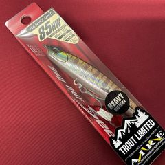 デュオ ベイルーフ シーク85HW Mアイレ CNA4129 アンバーヤマメ