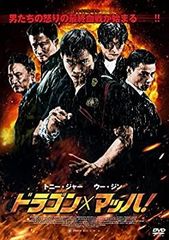 チャウ・シンチーの魔界ドラゴンファイター('93香港) - メルカリ