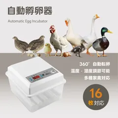 Kurflo 自動孵卵器 全自動孵化 インキュベーター 鳥類専用ふ卵器 自動孵卵器 16枚 家禽ハッチャー 温度/湿度調理のサムネイル