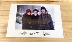 ハリー・ポッター サイン入り限定ポスター ミニポスター