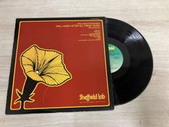 傷なし美盤‼️ライナー美品‼️】Taste Of Sally サリー レコード
