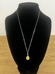 Item thumbnail for item 63866486-7d5c-4b0d-9c63-05edec324fd5