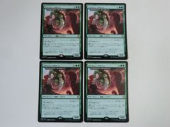 MTG】アナグマモグラの仔 / Badgermole Cub英語版 4枚セット - メルカリ