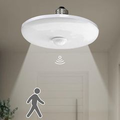 Item thumbnail for item 9109b19d-e669-4d23-a2be-de6ad64485b6