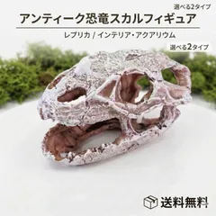 恐竜 化石 スカル オブジェ 19cm アクアリウム 水槽 装飾 爬虫類 隠れ家 テラリウム レイアウト リアル 置物 骨 骸骨 アンティーク インテリア 魚 熱帯魚 エビ 爬虫類 両生類 トカゲ ヘビ 飼育 飾り オーナメント 避難所 棲み家 ジオラマ 景観