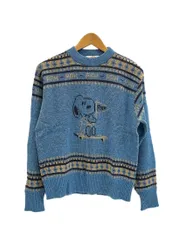 ヴィンテージ vintage 70s 70’s Arrow SNOOPY スヌーピー ニット 青 セーター ブルー Mサイズ 101MT-5961