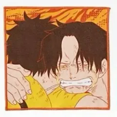 ワンピース ドラマティックメモリーズ 一番くじ H賞 タオル