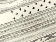 平和屋着物■上質な紬　横段文　正絹　逸品　CABD3323ev