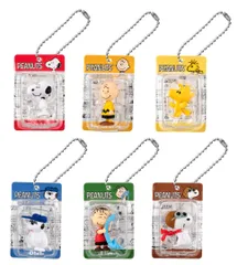 PEANUTS パッケージミニチュアコレクション クラシックver. 全6種セット