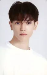 【中古】コレクションカード(男性) NCT 127/テヨン(TAEYONG)/バストアップ・裏面グレー・「127 PIZZA」/「2022 SEASON’S GREETINGS」KSTARHIT・Interpark特典フォトカード